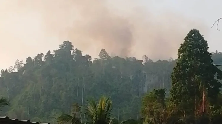 Kabut Asap Karhutla Kiriman Serbu Sulawesi Tengah