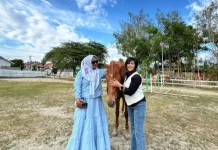 Horse Stable Caffe, Wisata Berkuda Favorit Warga Palu
