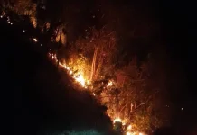 Karhutla Melanda Desa Labuan Donggulu Warga Diminta Waspada