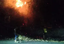 Kebakaran Lahan di Jalur Trans Sulawesi Kasimbar Berhasil di Kendalikan