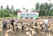Polres Parimo Panen Jagung Dukung Ketahanan Pangan