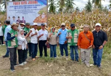Panen Raya Jagung Dorong Donggala Sejahtera Berdaya