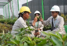 Kuatkan Kolaborasi Industri–Akademisi, IMIP Fasilitasi Magang Dosen