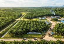 PT ANA Tegaskan Komitmen pada HAM dan Kepatuhan Hukum