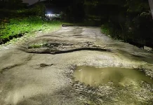 Komnas HAM Sulteng Desak Perbaikan Jalan Desa Korolama–Koromatantu Morut