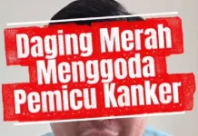 Daging Bakso Masih Merah, Aman atau Berbahaya?