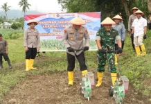 Kapolresta Palu Tanam Jagung Bersama Forkopimda di Duyu