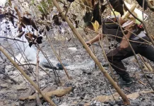 Kebakaran Hutan dan Lahan Kembali Terjadi di Parigi Moutong