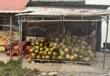 Kelapa Muda, Pilihan Berbuka saat Ramadan