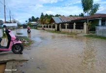 Pemkab Parimo Siapkan Solusi Banjir Disebabkan Tanggul Sungai Moutong Jebol