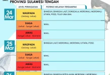 Pantauan cuaca Hujan, Tiga hari wilayah sulteng