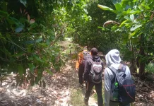 SAR Unit Siaga SAR Toli-Toli Lakukan Pencarian 2 Pendaki Tersesat Gunung Dako
