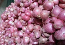 Harga Bawang Merah di Kota Palu Kembali Stabil