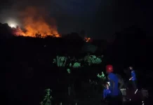Lahan 5 Hektare di Puncak Sanjubi Parimo Terbakar