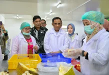 Gubernur Sulteng Anwar Hafid Dukung Hilirisasi Komoditas Durian Expor ke Cina