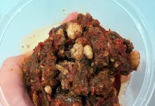 Paru Goreng Rica, Kuliner Pedas dan Menggoda