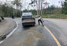 Respon Cepat Satlantas Parimo Tangani Tumpahan Solar di Jalur Rawan Kebun Kopi