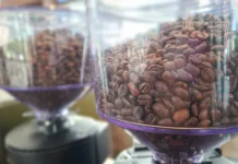Biji Kopi, Dari Kebun hingga Jadi Minuman Favorit