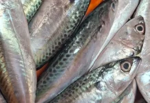 Harga Ikan Dua hari Terakhir Normal Kembali