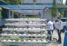 Dinas Pertanian Palu Dorong Kemandirian Anak Binaan lewat Hidroponik