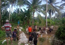 BPBD Parimo Kirim Geobag dan Alat Berat Perbaiki Tanggul Jebol