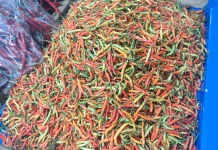 Cabai di Pasar Manonda Palu Sentuh Harga Tinggi