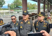 Kaban Karantina Indonesia Tinjau Instalasi Karantina Hewan di Sulteng