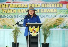 Bupati Donggala Tegaskan Pertanian Jadi Prioritas di tengah Tekanan Fiskal