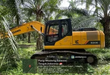 Polda Sulteng Amankan Tujuh Alat Berat di Lokasi Tambang Ilegal Parigi Moutong