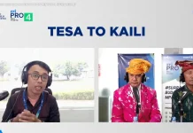 Pentingnya Sosialisasi Megalit untuk Generasi Muda Daerah