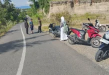 Dua Motor Adu Banteng di Pagimana