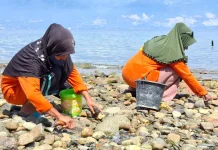 Lomba Nokai Vuku Tondo Hidupkan Budaya Pesisir