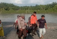 Polsek Rio Pakava Temukan Korban Hilang di Perbatasan Sungai