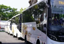 MTI Sulteng Dorong Pemkot Palu Hadirkan Feeder untuk Bus Trans Palu