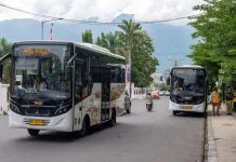 Sosialisasi Kunci Tingkatkan Minat Masyarakat Gunakan Bus Trans Palu