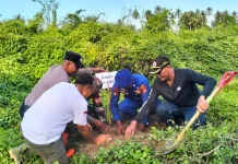 Polairud Polres Parimo Tanam 100 Bibit Pohon di Pesisir Peringati Hari Bumi
