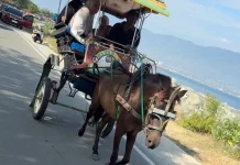 Andong di Pesisir Palu Tetap Bertahan