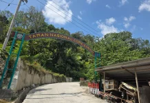 Menyapa Alam Liar di Taman Nasional Lore Lindu, Jauh dari Hiruk Pikuk Kota