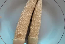 Jagung Muda, Kecil namun Bergizi