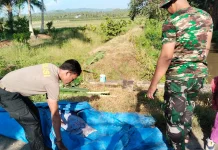 Pria di Parimo Ditemukan Tewas di Selokan Desa Beringin Jaya