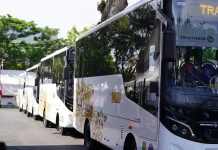 Optimalkan Layanan, Dishub Palu Tambah Armada Bus di Rute Strategis