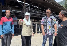 Tinjau Sentra Ayam Petelur, Wawali Palu Fokus Penataan Tata Ruang