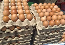 Harga Telur Ayam  di Kota Palu Masih Normal