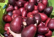 Jambu Jamaika, Warnanya Merah Merona dan Rasanya Manis