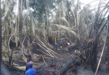 Lahan Sagu di Mamboro Palu Terbakar, Hanguskan Satu Unit Rumah Warga