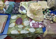 Ecoprint Ramah Lingkungan Dorong Kreativitas dan Peluang Usaha