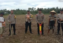 Dukung Ketahanan Pangan, Polsubsektor Mepanga Dampingi Tanam Jagung