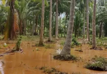 Tiga Tanggul di Desa Salepae Jebol dan Akses Jalan Terputus Diterjang Banjir