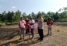Polsek Kasimbar Serahkan Bibit Jagung ke Petani Perkuat Ketahanan Pangan