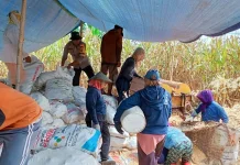 Bhabinkamtibmas Polsek Batui Dukung Ketahanan Pangan
